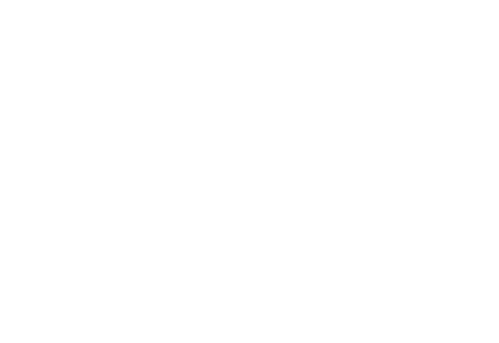 Alstom-170x117px (2)
