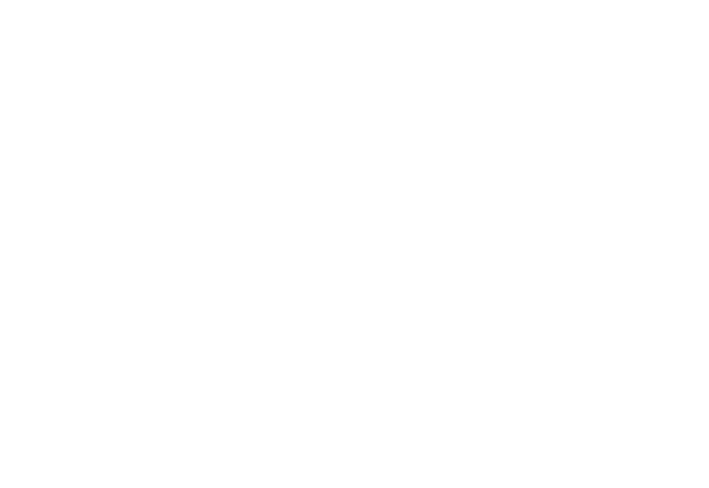 Linde-170x117px (2)