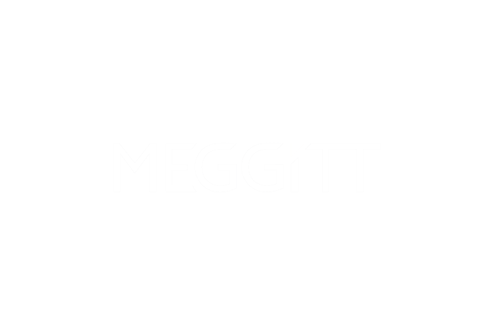 Meggit-170x117px-01 (2)