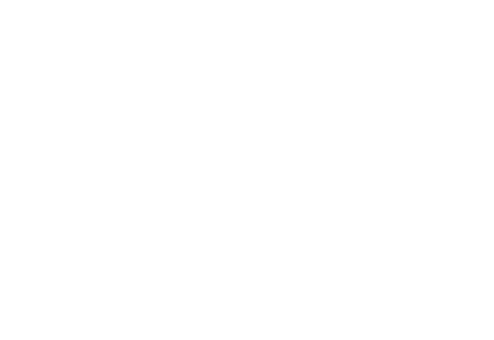 Pepsico-170x117px (2)
