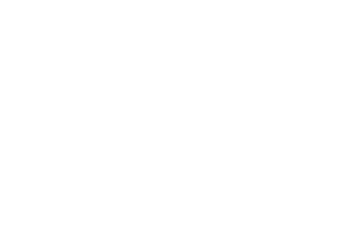 Toshiba-170x117px (2)