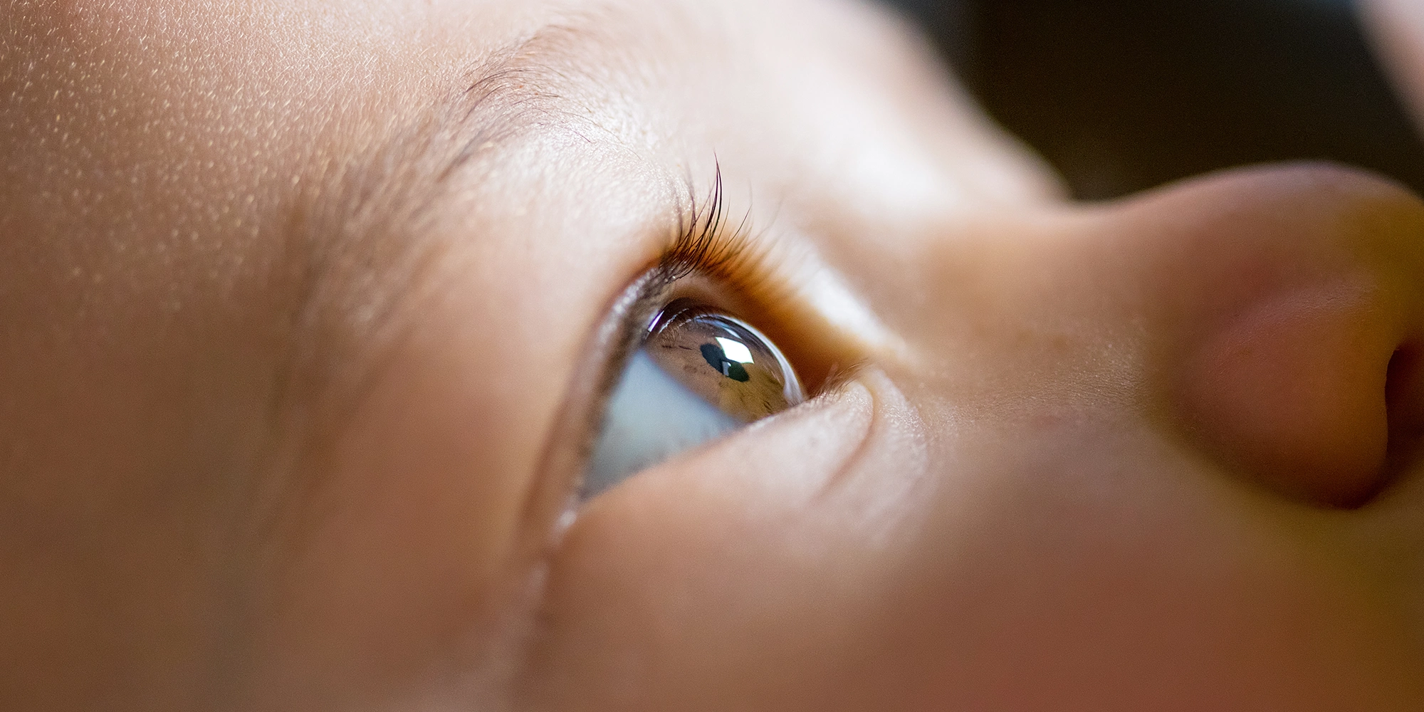 newborn eye